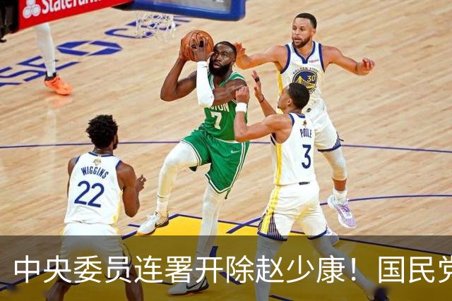 中央委员连署开除赵少康！国民党出手了：关键时刻勿自乱阵脚