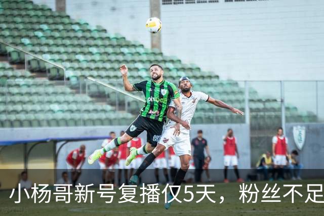 小杨哥新号复播仅5天，粉丝不足10万，直播间观看人数不到2000