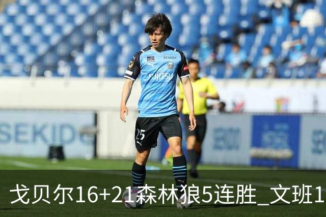戈贝尔16+21森林狼5连胜 文班12+10马刺15连败