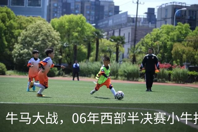牛马大战，06年西部半决赛小牛抢七险胜马刺，邓肯场均32+12，诺维茨基什么数据？